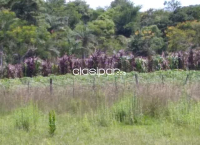 Hermosa propiedad de 5has en yaguaron — foto 3