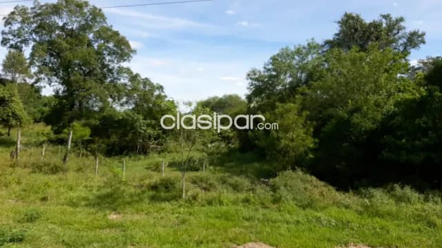 Propiedad para Estancia o puerto — foto 5