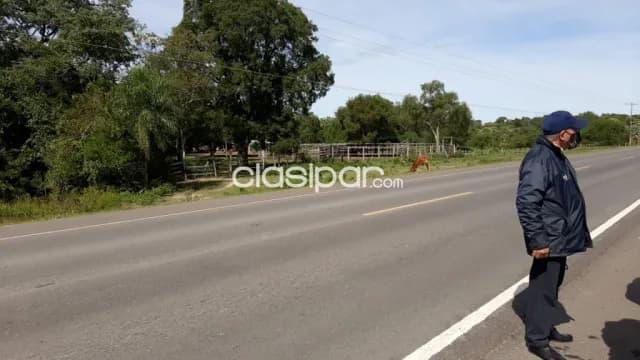 Propiedad para Estancia o puerto — foto 2