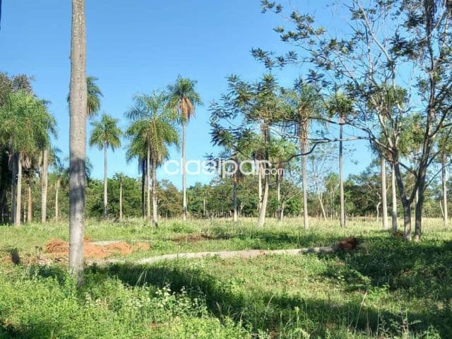 10 lotes juntos en nueva colombia!!, foto 1