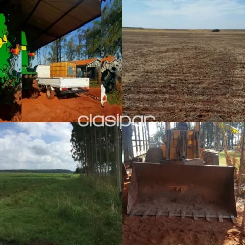 1.408 hectáreas. Alto Paraná. Vendo Estancia a tranquera cerrada. Más 300 animales.!!!, foto 4
