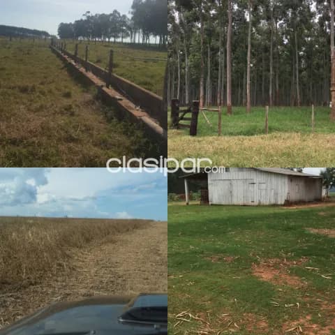 1.408 hectáreas. Alto Paraná. Vendo Estancia a tranquera cerrada. Más 300 animales.!!!, foto 5