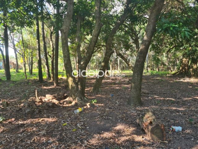 Terreno en San Bernardino