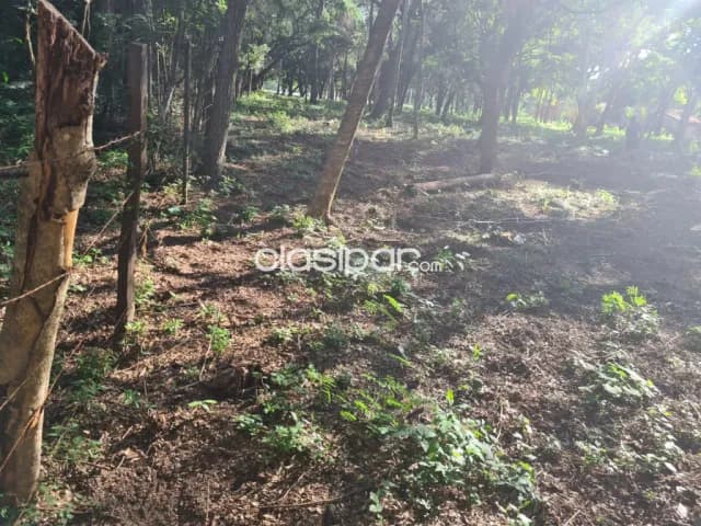 Terreno en San Bernardino — foto 3