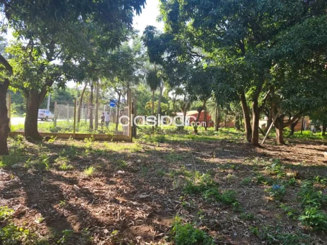 Terreno en San Bernardino — foto 5