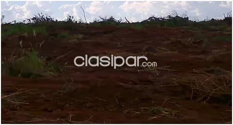 Cap. Bado – amambay: Inmejorables 8.400 has, agricola 100%, mecanizadas, oportunidad ideal — foto 5