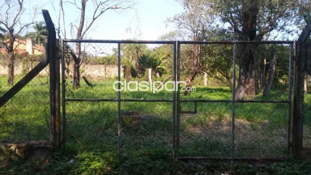 Villa adela - Luque - terreno de 800 m2, foto 3