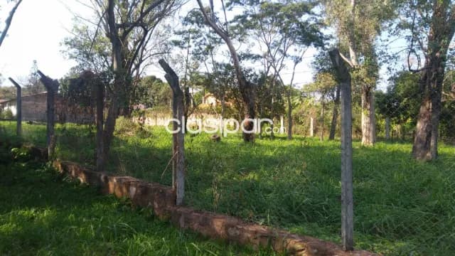 Villa adela - Luque - terreno de 800 m2, foto 4