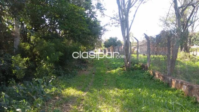 Villa adela - Luque - terreno de 800 m2, foto 5
