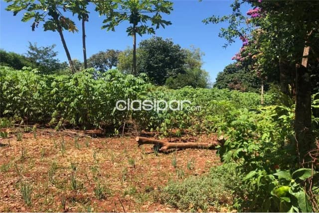 terreno en el barrio San Antonio Ypekuru: superficie de terreno 360 m2, foto 3
