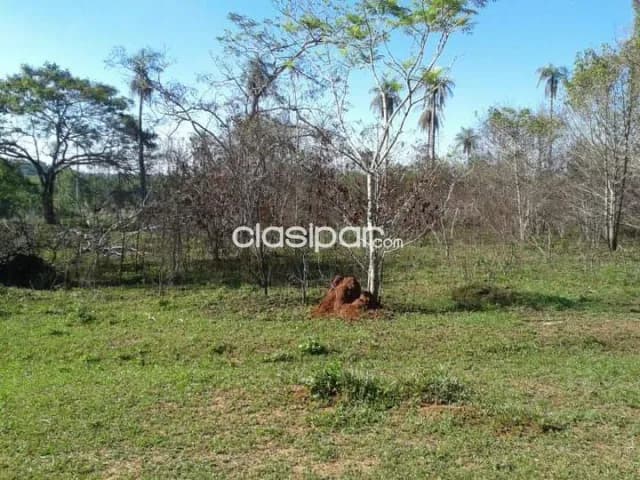 10 terrenos juntos en Escobar distrito de Paraguari, foto 2