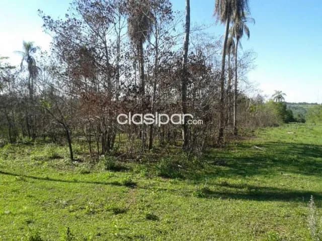 10 terrenos juntos en Escobar distrito de Paraguari, foto 3