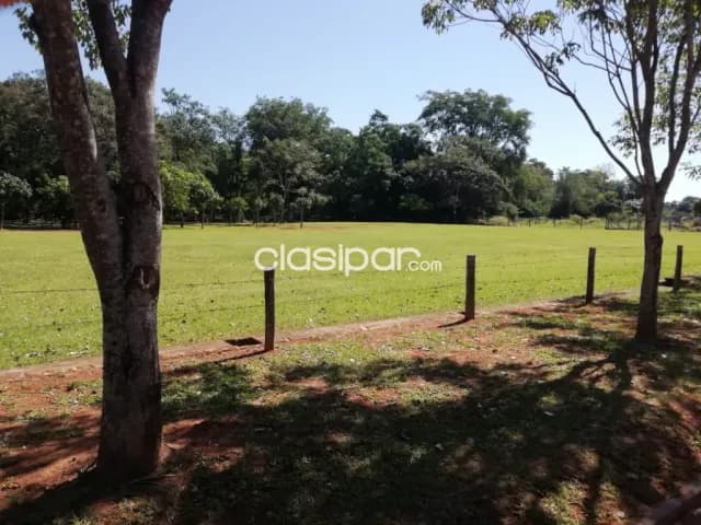 S/ Luque - san ber s/ asfalto: 1.800 m2 ideal p/ emprendimientos inmobiliarios, quintas — foto 5