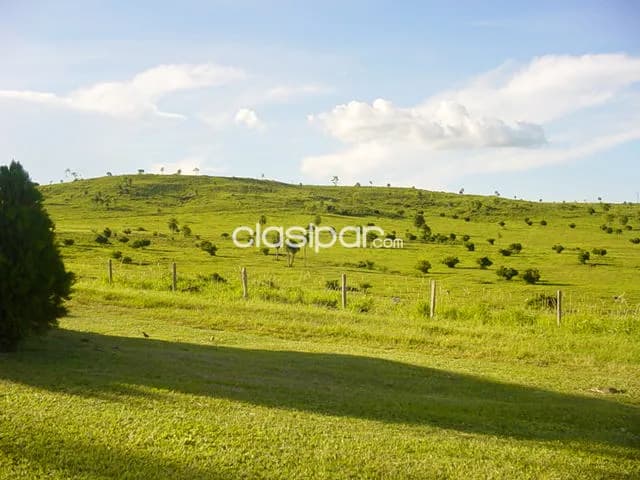 Dpto. De amambay - en venta excelente propiedad rural - localidad de estrella, foto 3