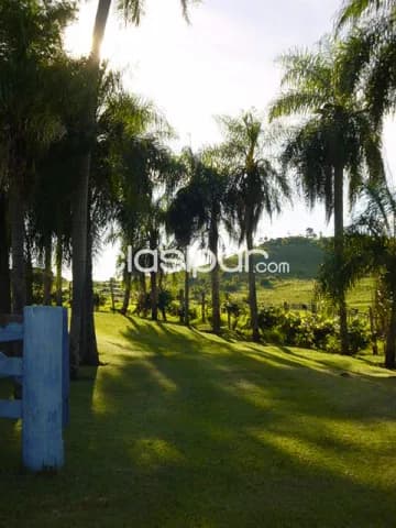 Dpto. De amambay - en venta excelente propiedad rural - localidad de estrella, foto 4