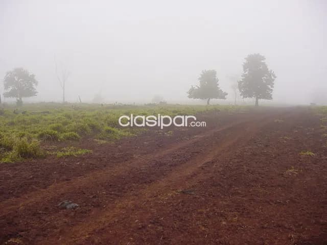 Dpto. De amambay - en venta excelente propiedad rural - localidad de estrella, foto 5