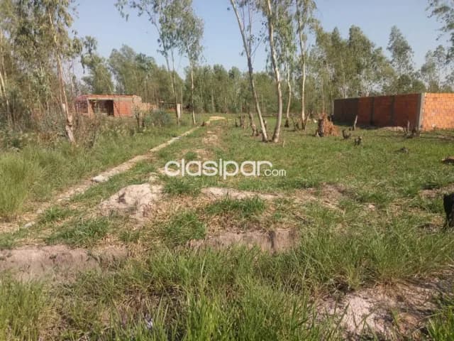 Conversable - vendo 2 terrenos en limpio isla aveiro facil acceso a ruta 3 y a asuncion, foto 4