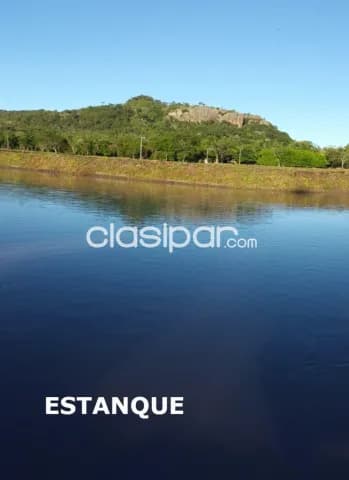 ¡vendo amplia propiedad en paraguari!, foto 4