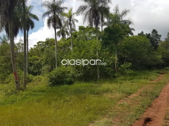 4 Lotes juntos en Altos — foto 2