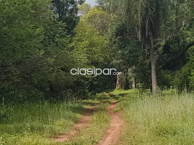 4 Lotes juntos en Altos — foto 3