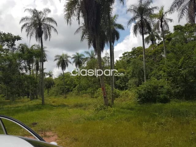 4 Lotes juntos en Altos — foto 4