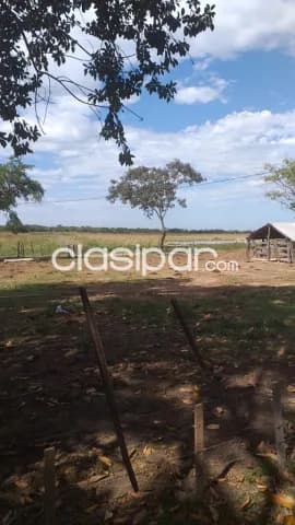 Estancia de 500 has en Yaguaron, foto 5