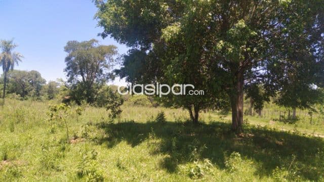 Lote Urbano en Coronel Oviedo