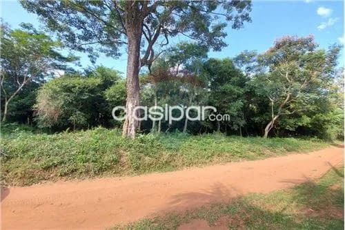 20.000 metros2 en Aregua — foto 2