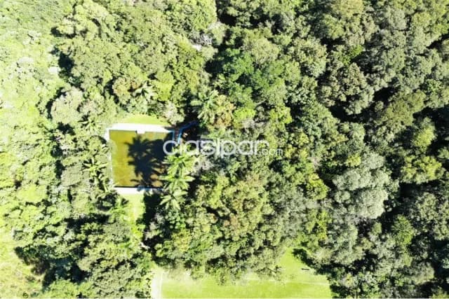 3 hectáreas con casa quinta en San Isidro, etapa 7, frente al río Paraná — foto 5
