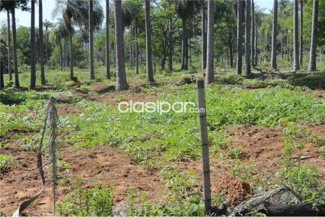 Terreno en ATYRA de 35 Hectáreas 298,000 USD, foto 1