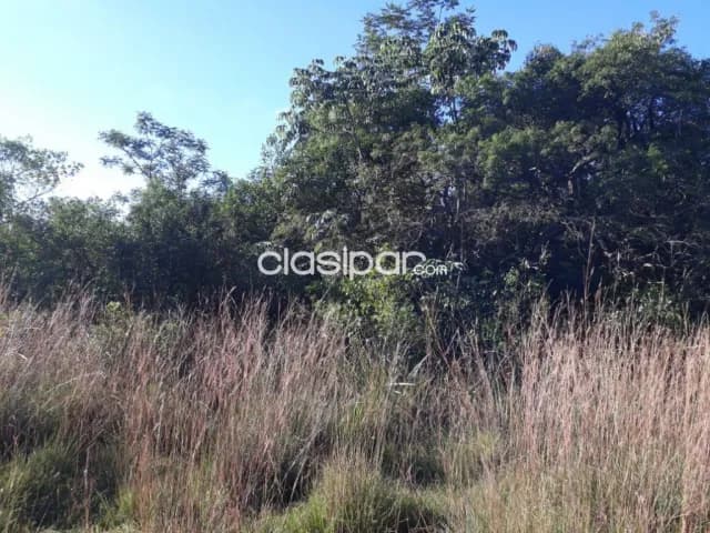 Nueva colombia - cordillera: Maravillosas 12 has, bosque natural, cañaberales, alambrado, foto 3