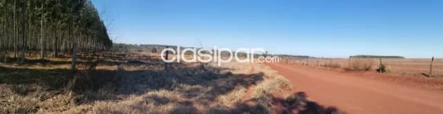 5 Hectareas en Zona INdustrual de Hernandarias 200,000 USD, foto 3