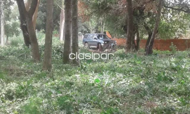 Terreno en barrio cañadita Ñemby especial para casa quinta !!, foto 3