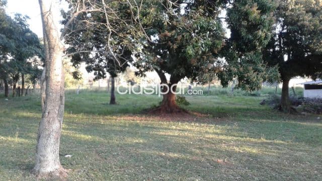 propiedad en J. A. Saldivar de 1 HA con 7.930 M2, foto 1