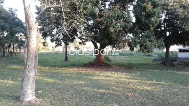 propiedad en J. A. Saldivar de 1 HA con 7.930 M2, foto 2