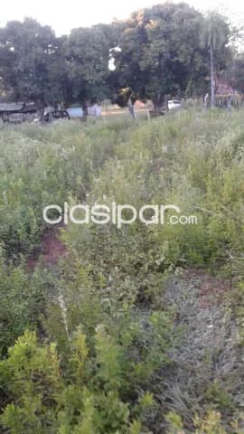 propiedad en J. A. Saldivar de 1 HA con 7.930 M2, foto 5