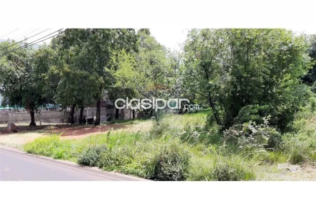 terreno en Ciudad Nueva, cerca del circuito comercial: superficie de terreno 774 m2, foto 3