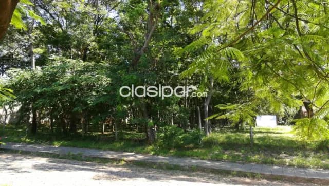 Terreno en el corazon de los laureles, foto 3