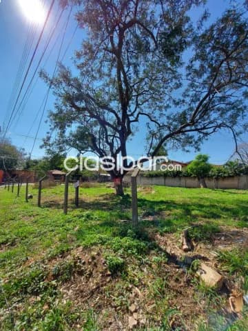 Terreno en alquiler en Mariano Roque Alonso, foto 3