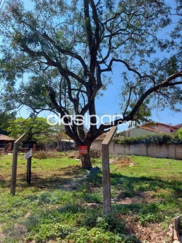 Terreno en alquiler en Mariano Roque Alonso, foto 4