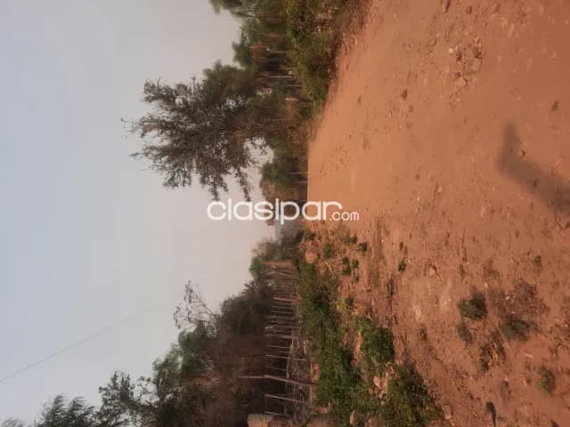 Hermosa propiedade de 13 ha.en Nueva Colombia — foto 2