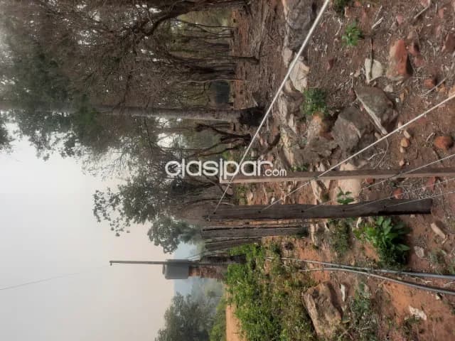 Hermosa propiedade de 13 ha.en Nueva Colombia — foto 5