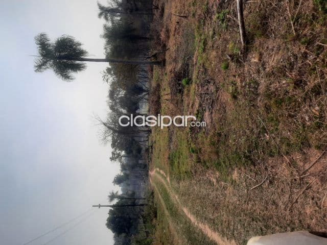 Terreno de 7 ha.en Nueva Colombia, foto 1
