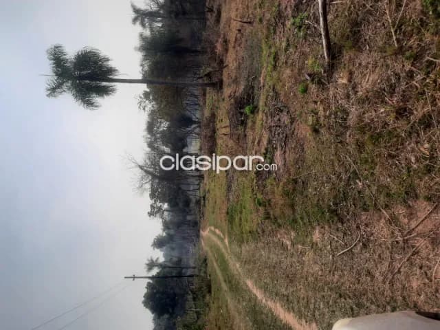 Terreno de 7 ha.en Nueva Colombia, foto 2