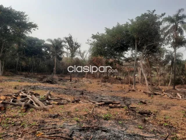 Terreno de 7 ha.en Nueva Colombia, foto 3