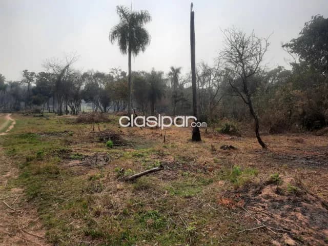 Terreno de 7 ha.en Nueva Colombia, foto 4