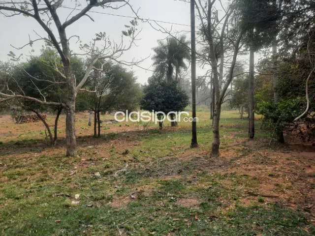 Terreno de 7 ha.en Nueva Colombia, foto 5