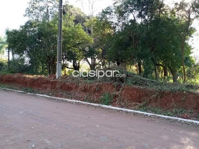Terreno en San Lorenzo, thompson. E2407, foto 4