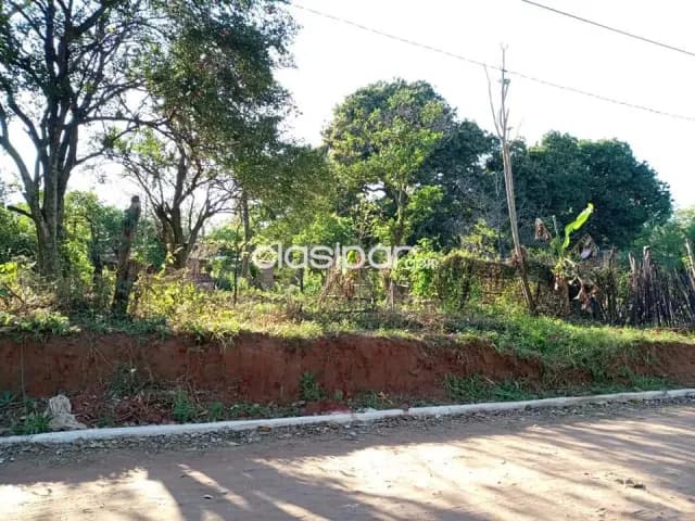 Terreno en San Lorenzo, thompson. E2407, foto 5