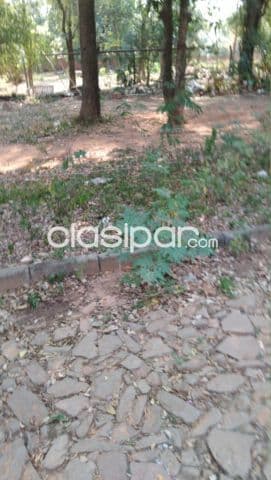 Terreno en Asunción Trinidad